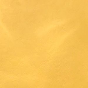 Meet your Posher, Taryn